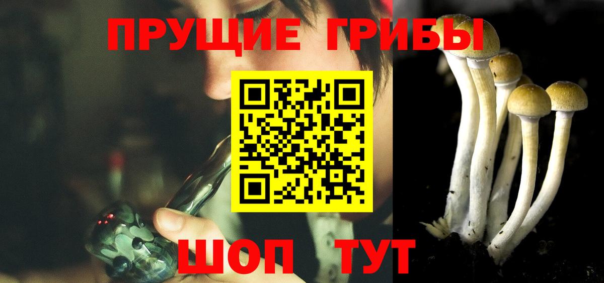 Галлюциногенные грибы мухоморы Горно-Алтайск